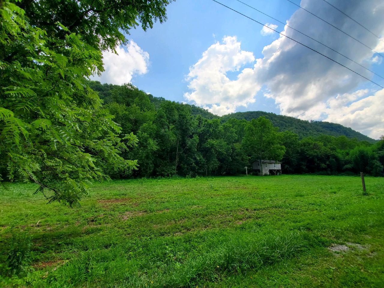2367 Anglers Way Road Duffield, VA 24244 - Photo 4 of 11 136754