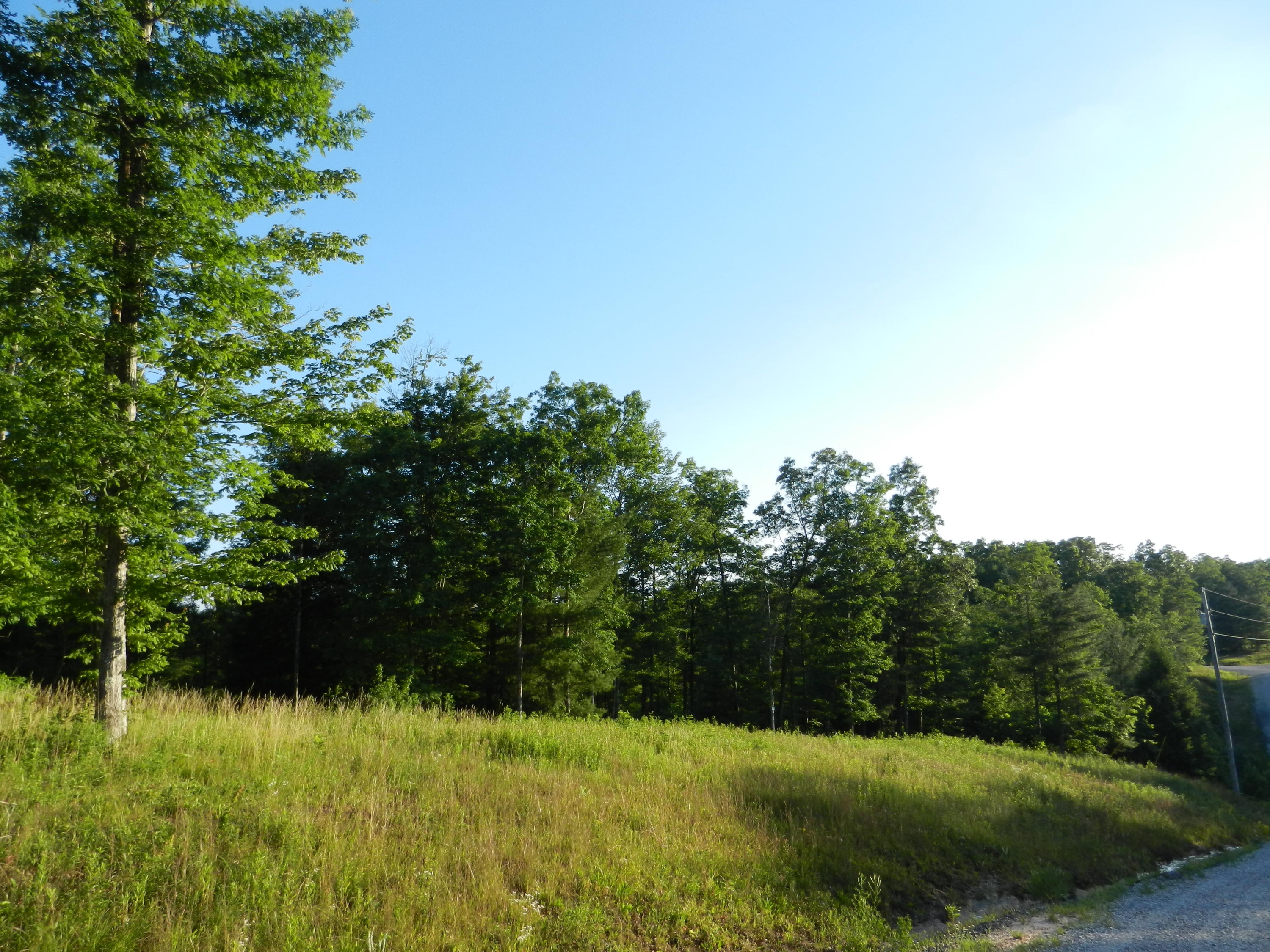 Lot 12 Toomey Falls Road Oneida, TN 37841 - Photo 12 of 14 DSCN2166
