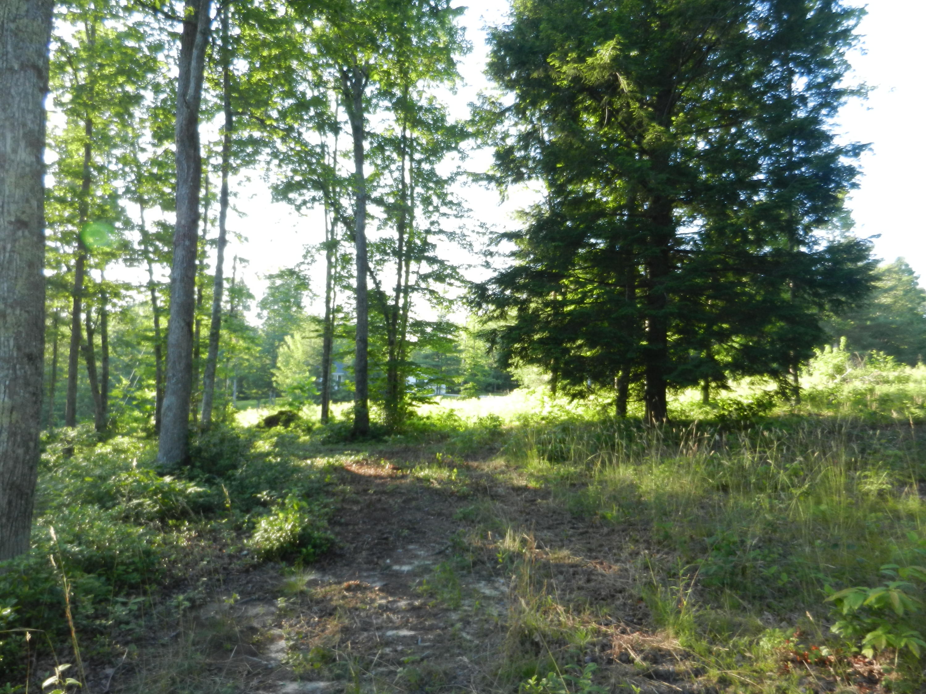 Lot 12 Toomey Falls Road Oneida, TN 37841 - Photo 7 of 14 DSCN2161