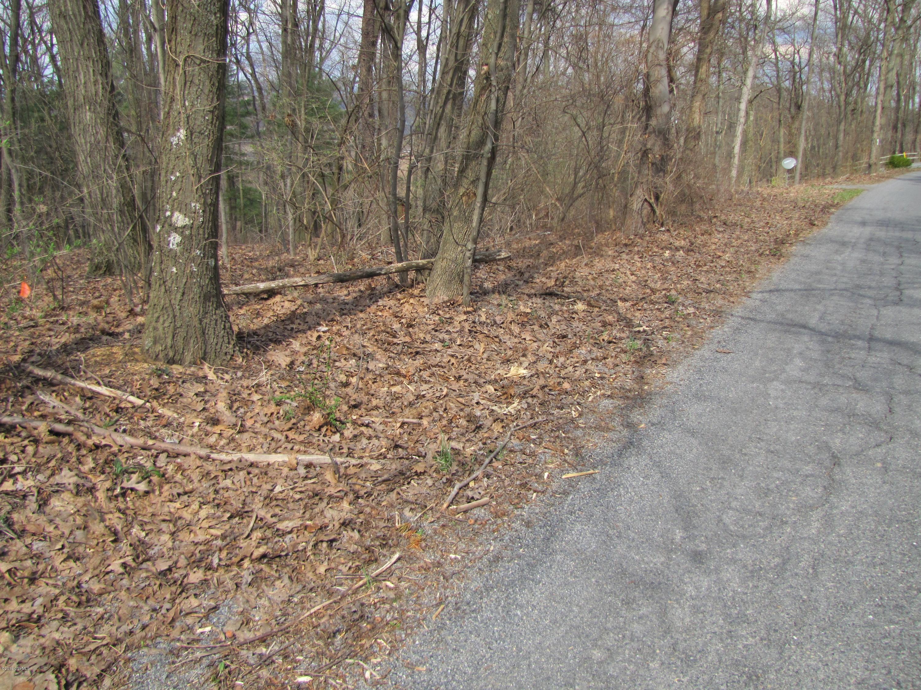 Bald Top Road Danville, PA 17821 - Photo 7 of 8 Gallery Image 7
