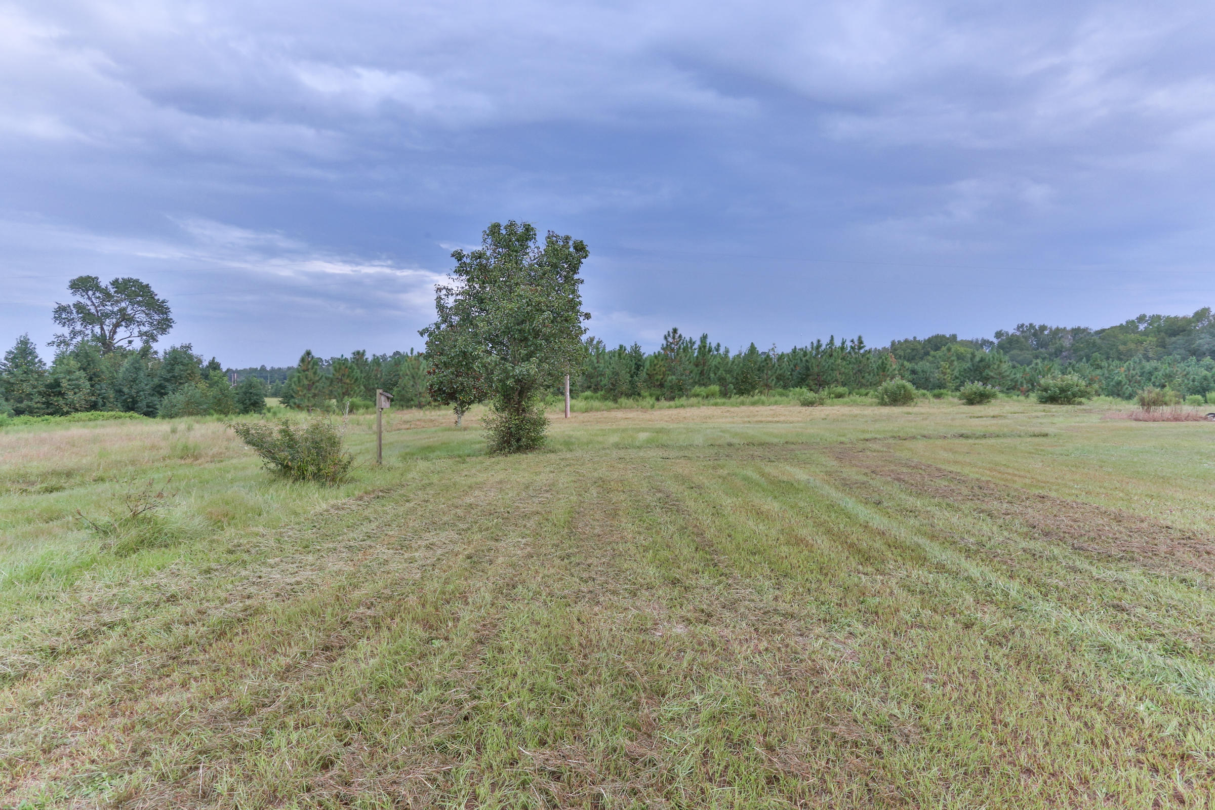 566 Springhill Church Road Hamlet, NC 28345 - Photo 48 of 60 1O8A8339
