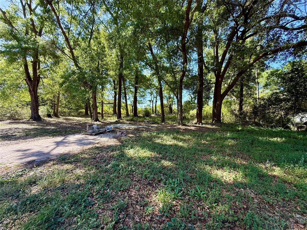 21471 Northwest 172nd Road High Springs, FL 32643 - Photo 20 of 26 a backyard of a house with lots of green space