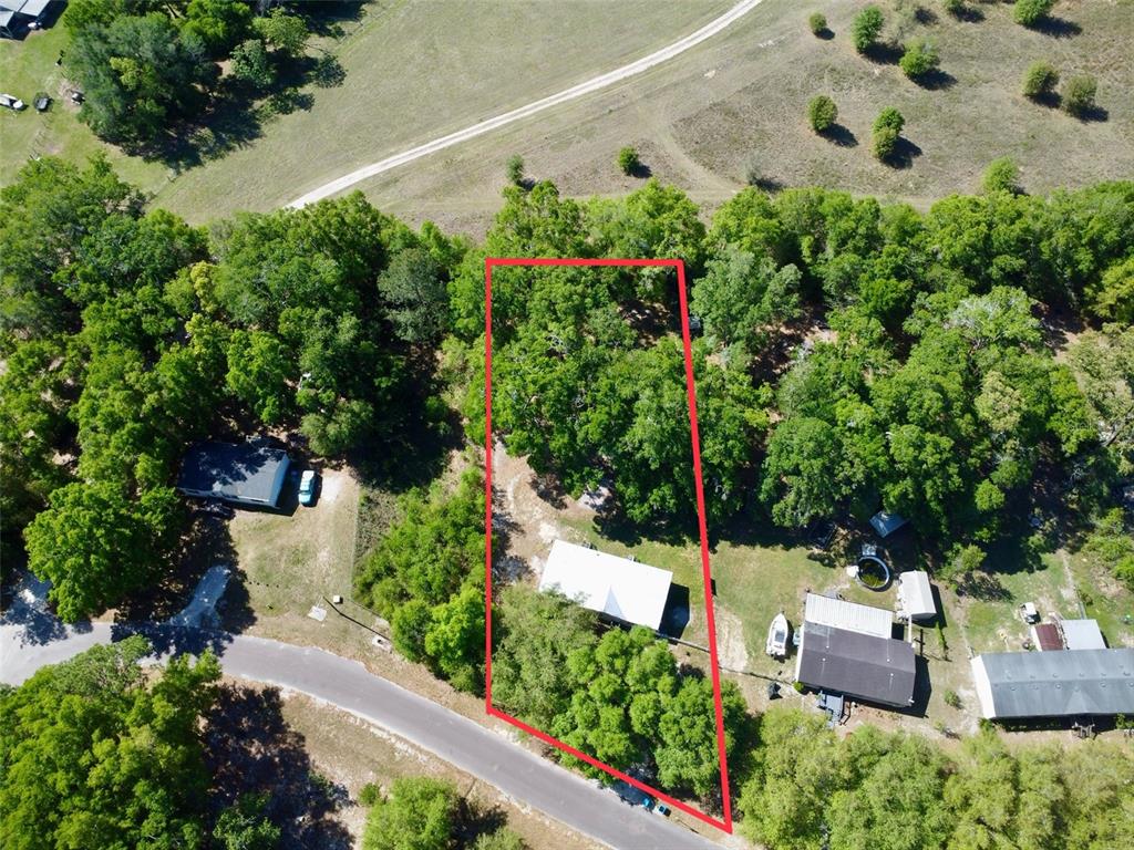 21471 Northwest 172nd Road High Springs, FL 32643 - Photo 24 of 26 a view of a garden with flowers