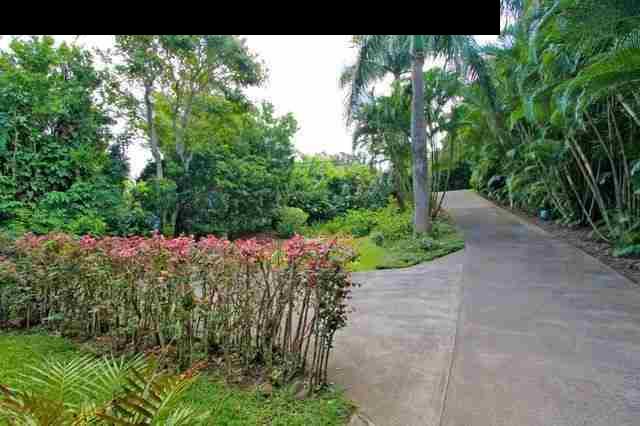 560 West Kuiaha Road Haiku, HI 96708 - Photo 19 of 23 a view of a garden with plants
