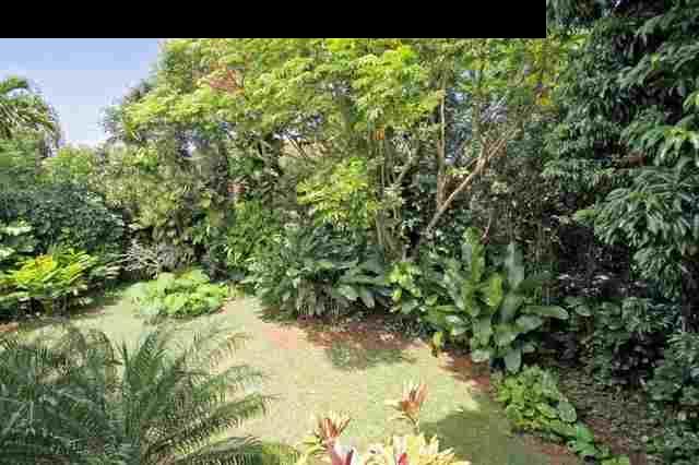 560 West Kuiaha Road Haiku, HI 96708 - Photo 20 of 23