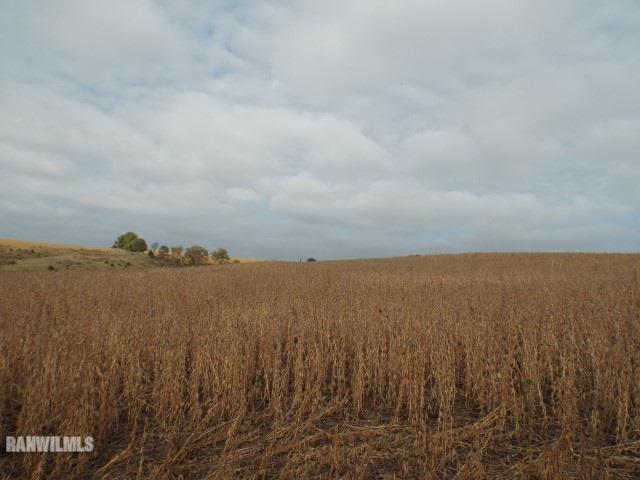 3166 Weston Road Hanover, IL 61028 - Photo 17 of 20 Gallery Image 17