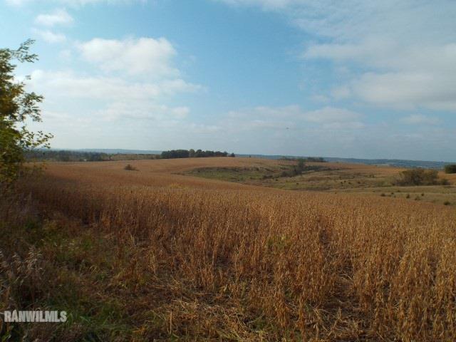 3166 Weston Road Hanover, IL 61028 - Photo 19 of 20 Gallery Image 19