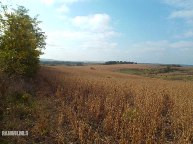 3166 Weston Road Hanover, IL 61028 - Photo 20 of 20 Gallery Image 20