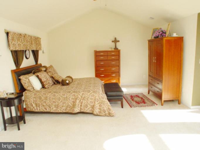 1606 Rising Ridge Road Mount Airy, MD 21771 - Photo 11 of 30 Master bedroom has Cathedral Ceiling.