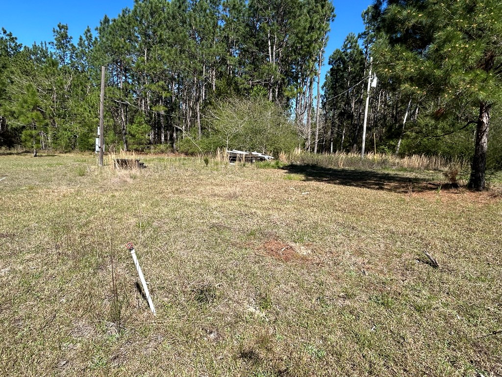 923 Lakeview Road Slocomb, AL 36375 - Photo 17 of 45