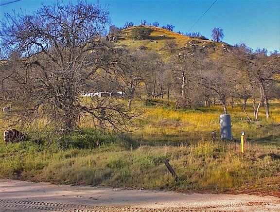 37660 Mistletoe Road Squaw Valley, CA 93675 - Photo 1 of 14 Gallery Image 1