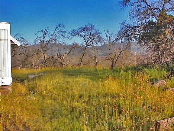 37660 Mistletoe Road Squaw Valley, CA 93675 - Photo 12 of 14 Gallery Image 12