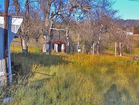 37660 Mistletoe Road Squaw Valley, CA 93675 - Photo 13 of 14 Gallery Image 13