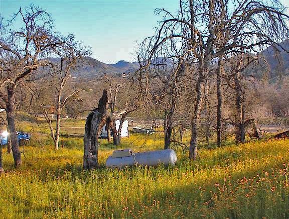 37660 Mistletoe Road Squaw Valley, CA 93675 - Photo 14 of 14 Gallery Image 14
