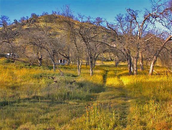 37660 Mistletoe Road Squaw Valley, CA 93675 - Photo 2 of 14 Gallery Image 2
