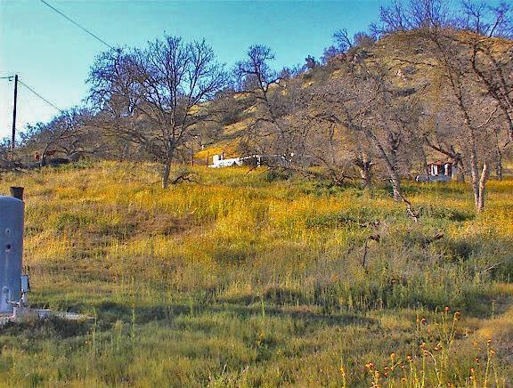 37660 Mistletoe Road Squaw Valley, CA 93675 - Photo 3 of 14 Gallery Image 3