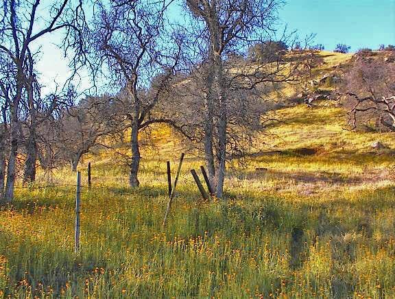 37660 Mistletoe Road Squaw Valley, CA 93675 - Photo 5 of 14 Gallery Image 5