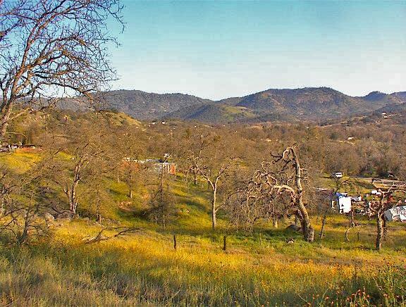 37660 Mistletoe Road Squaw Valley, CA 93675 - Photo 6 of 14 Gallery Image 6