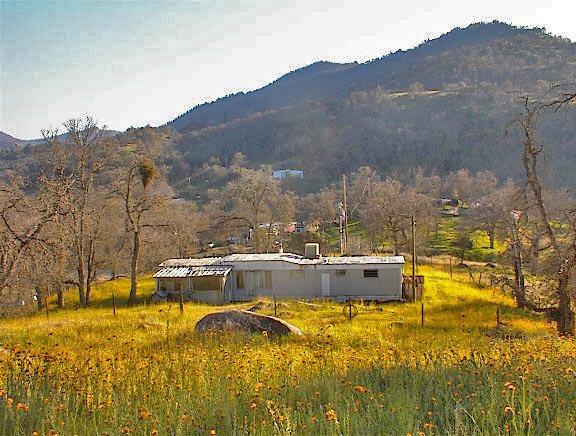 37660 Mistletoe Road Squaw Valley, CA 93675 - Photo 7 of 14 Gallery Image 7