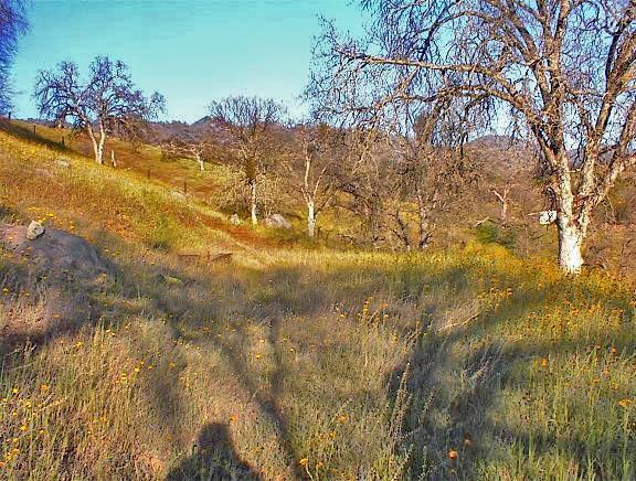 37660 Mistletoe Road Squaw Valley, CA 93675 - Photo 8 of 14 Gallery Image 8