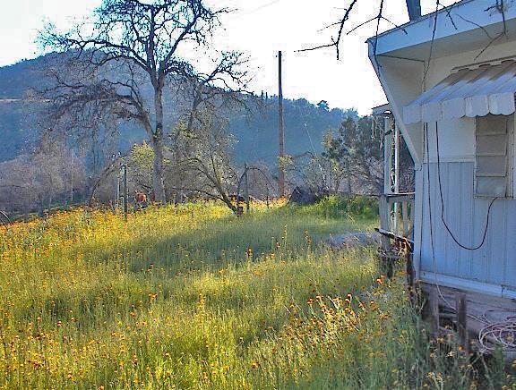 37660 Mistletoe Road Squaw Valley, CA 93675 - Photo 10 of 14 Gallery Image 10