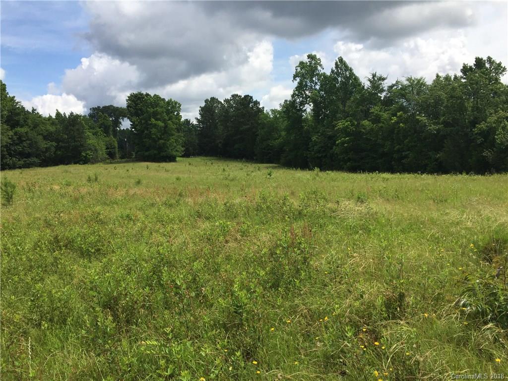 0 Irene Bridge Highway Hickory Grove, SC 29717 - Photo 12 of 14 a view of outdoor space and yard
