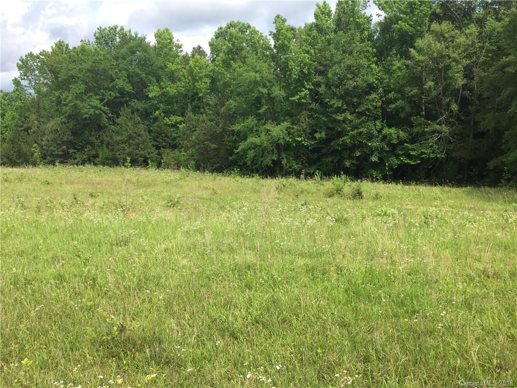 0 Irene Bridge Highway Hickory Grove, SC 29717 - Photo 3 of 14 a view of a yard