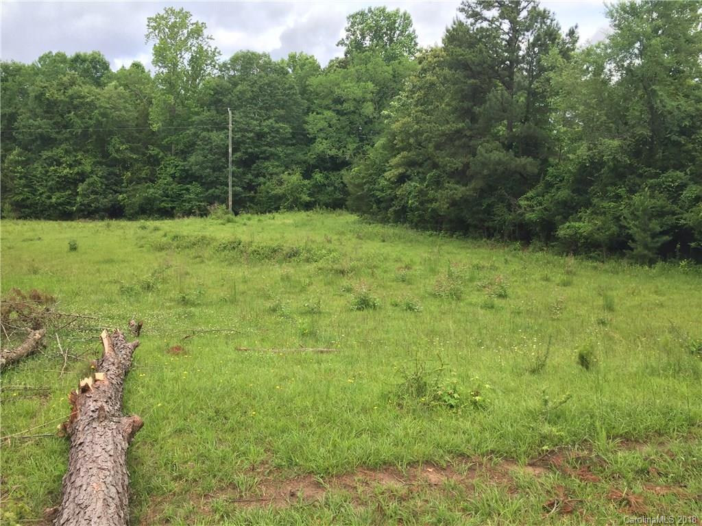0 Irene Bridge Highway Hickory Grove, SC 29717 - Photo 7 of 14 a view of outdoor space and yard