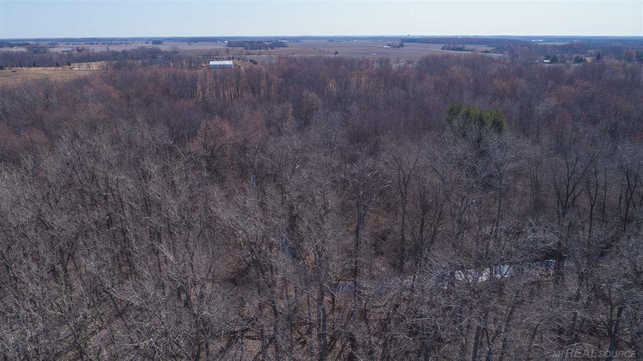 0 Cargill Road Brown City, MI 48416 - Photo 10 of 28 Gallery Image 10