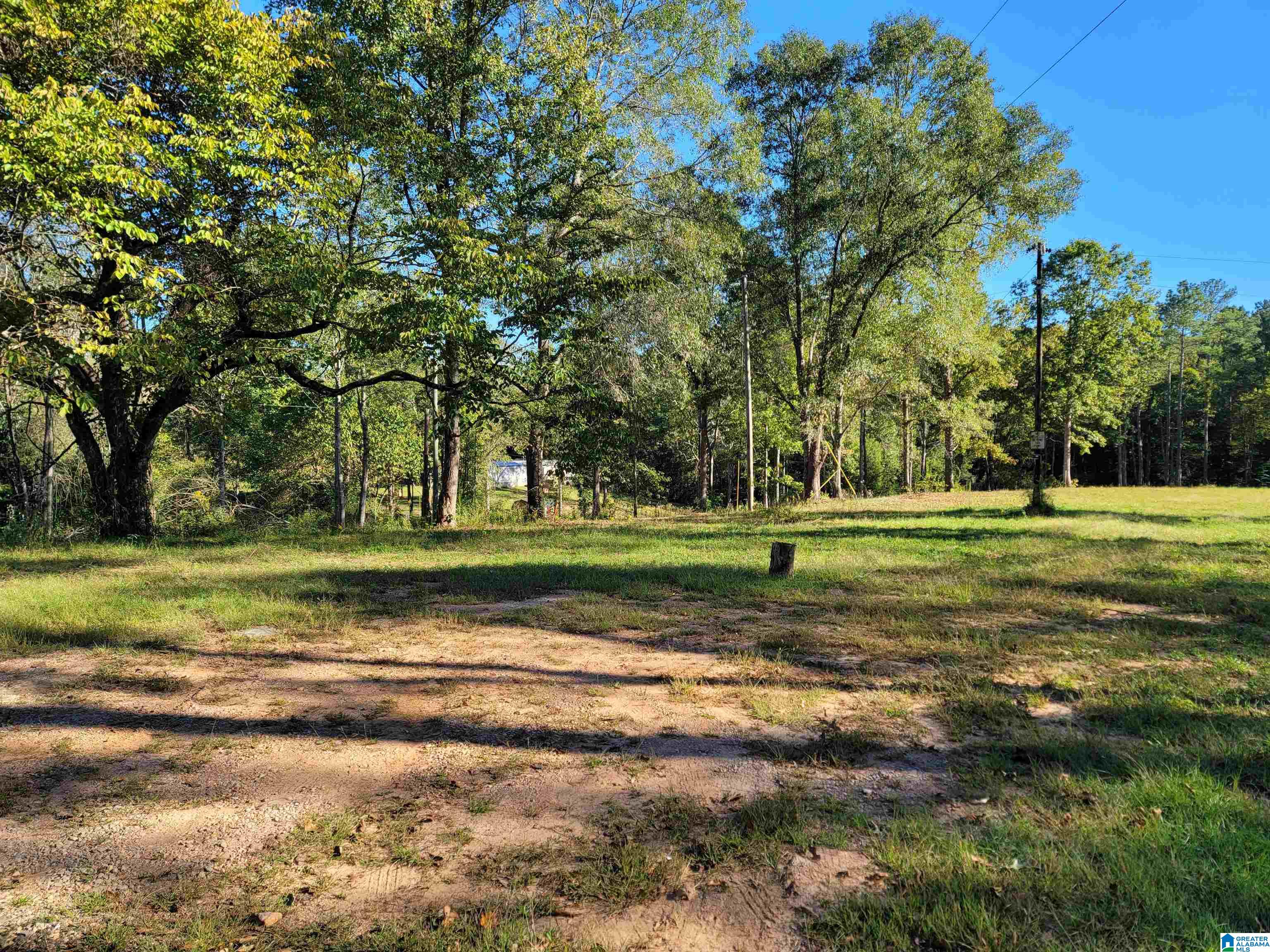 690 Tumblin Mill Road, Unit 4 ACRES Heflin, AL 36264 - Photo 4 of 6