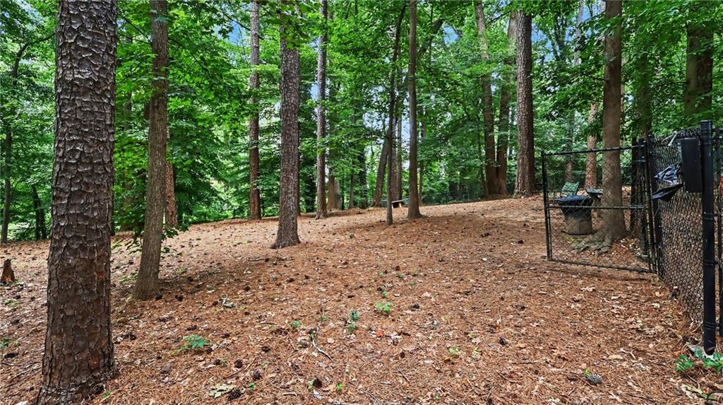 413 Tuxworth Circle Decatur, GA 30033 - Photo 24 of 28