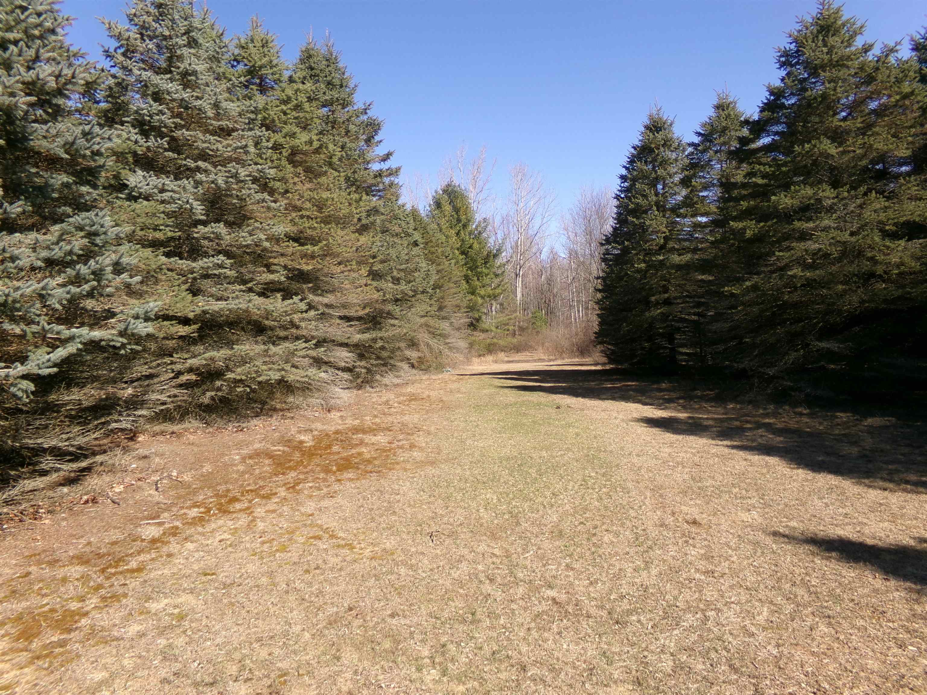 9685 East Deerfield Road Shepherd, MI 48883 - Photo 70 of 81