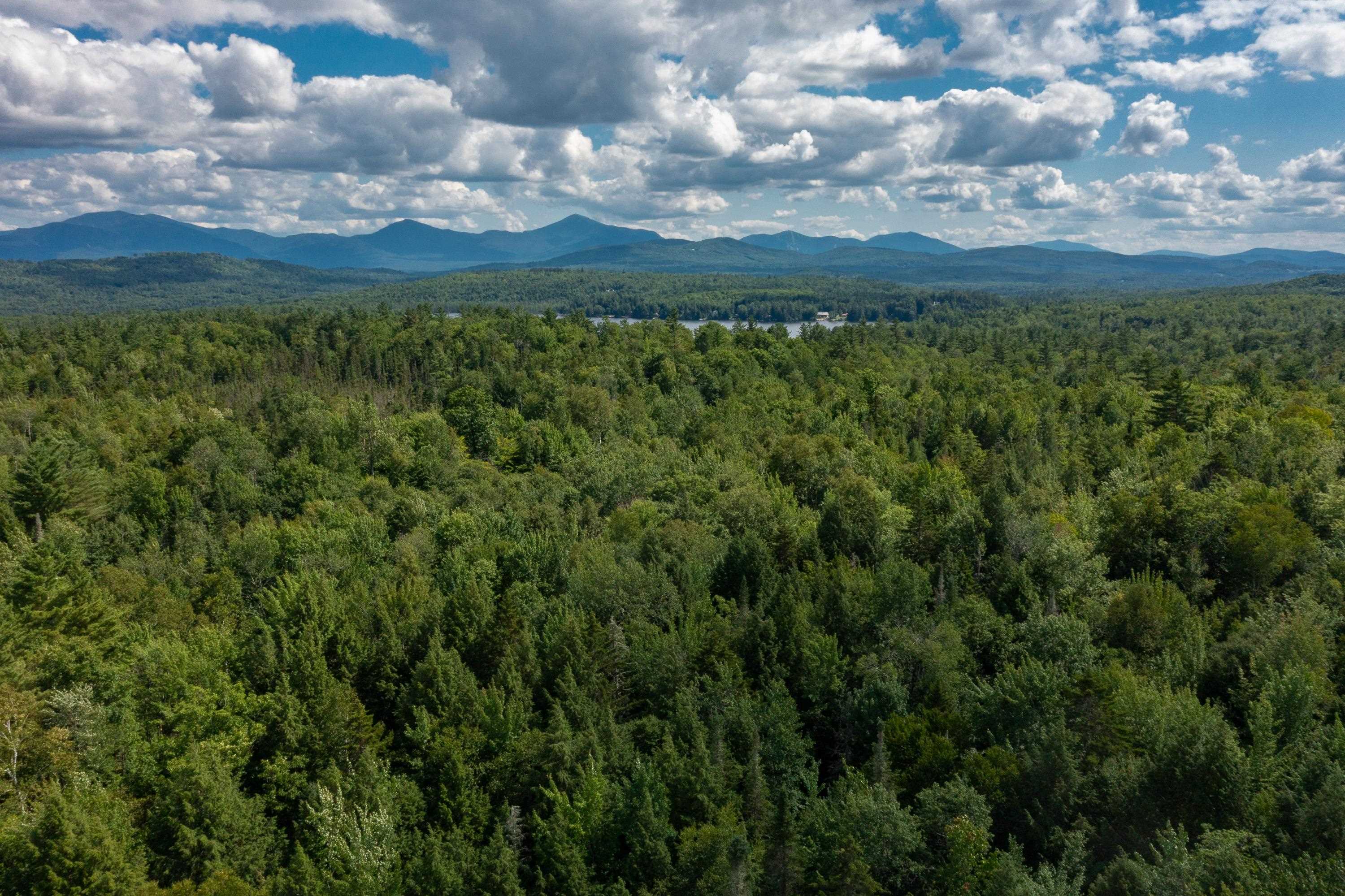 408-085 Fawn Road Dalton, NH 03598 - Photo 11 of 17 Gallery Image 11