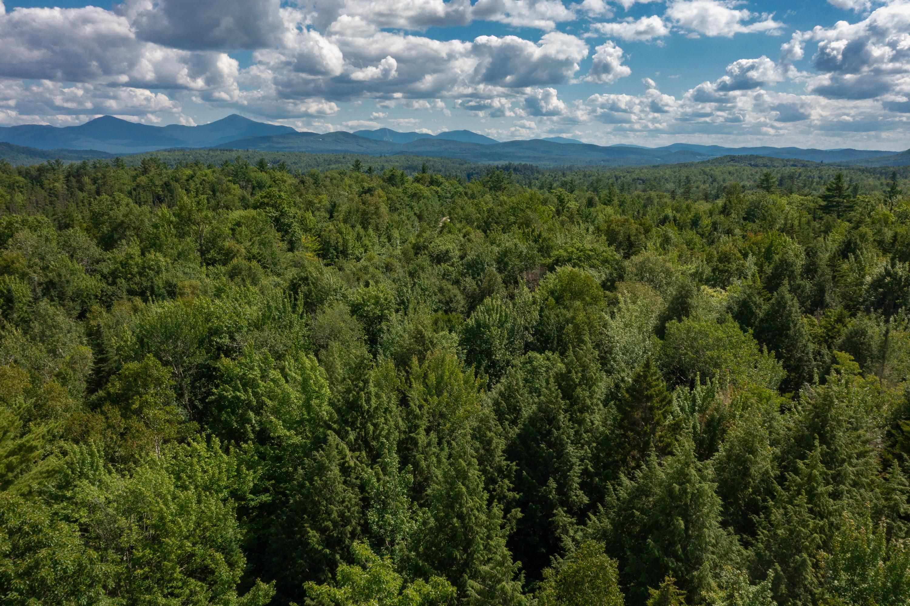 408-085 Fawn Road Dalton, NH 03598 - Photo 12 of 17 Gallery Image 12
