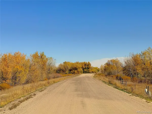 a view of a road with trees in the background