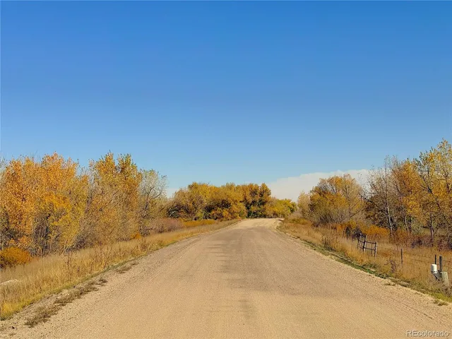 a view of a road with trees in the background