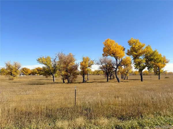 a view of ocean with large trees
