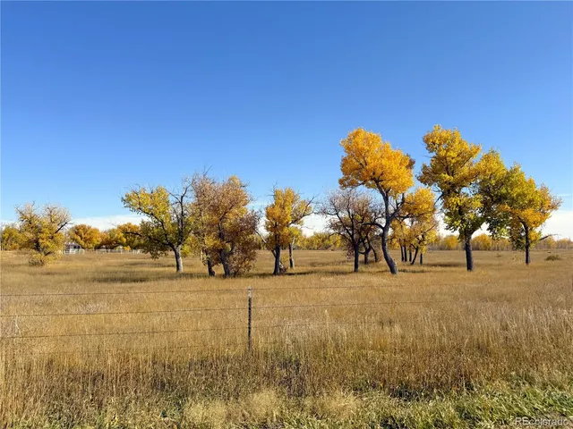 a view of ocean with large trees