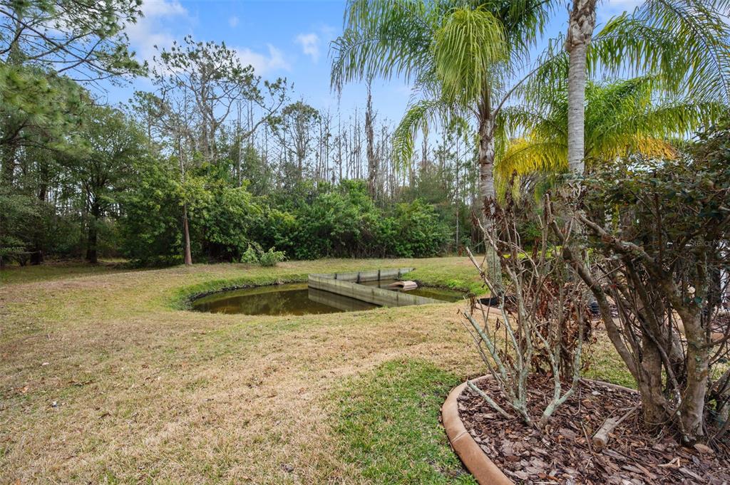 1450 Warrington Way Trinity, FL 34655 - Photo 46 of 62 a view of a backyard with fountain