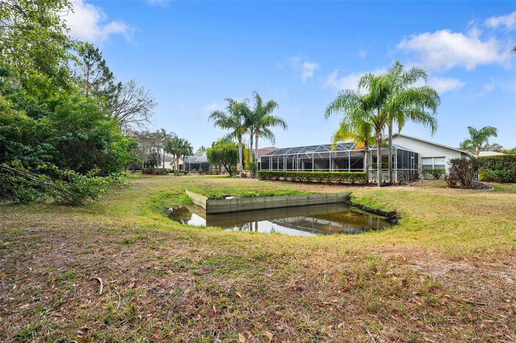 1450 Warrington Way Trinity, FL 34655 - Photo 47 of 62 a view of swimming pool and lake view