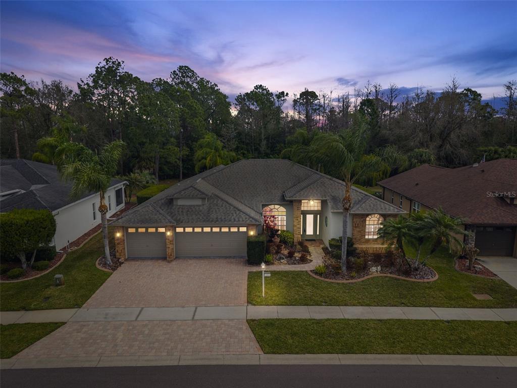 1450 Warrington Way Trinity, FL 34655 - Photo 51 of 62 an aerial view of a house with a yard