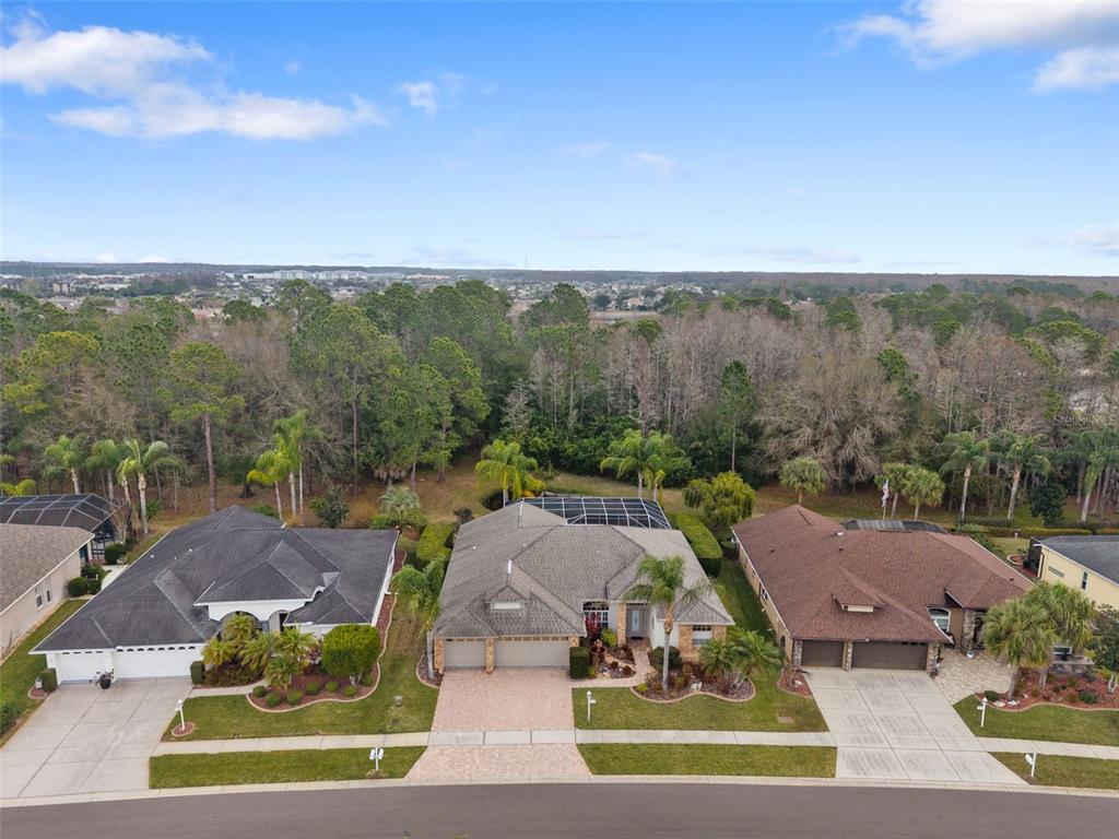 1450 Warrington Way Trinity, FL 34655 - Photo 53 of 62 an aerial view of multiple house