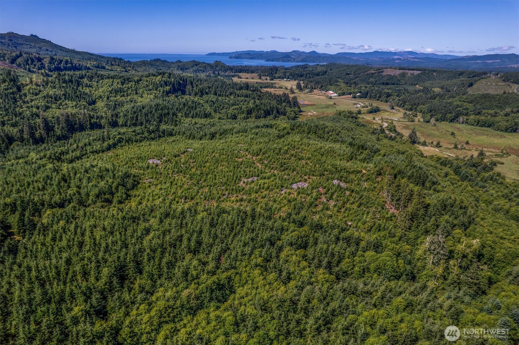 0 Eden Valley Road Rosburg, WA 98643 - Photo 12 of 14