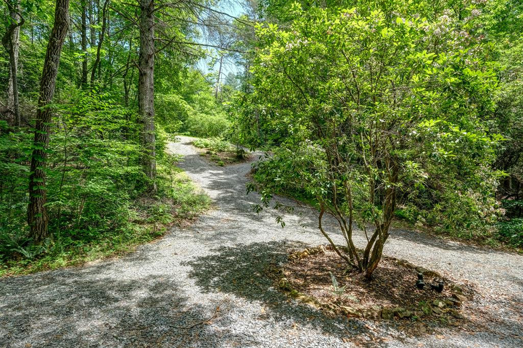 3774 Ebenezer Road Murphy, NC 28906 - Photo 58 of 72