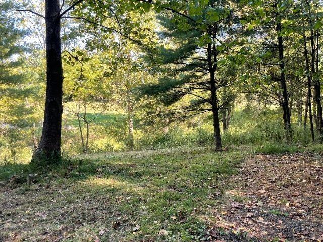 Tbd Pine Run Road Draper, VA 24324 - Photo 17 of 19 Gallery Image 17