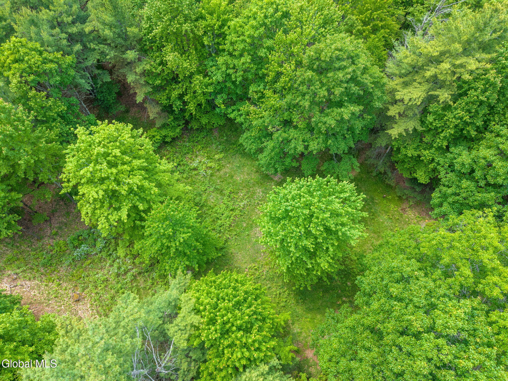 368 Brand Road Gilboa, NY 12076 - Photo 70 of 76 85-368BrandRd_47