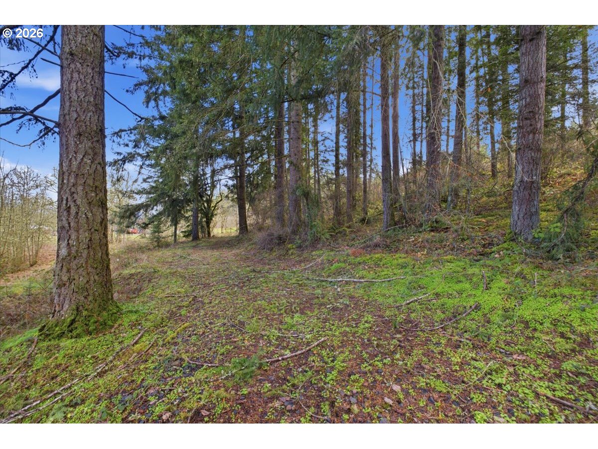 30271 Horseshoe Loop Lebanon, OR 97355 - Photo 38 of 40 Gallery Image 38