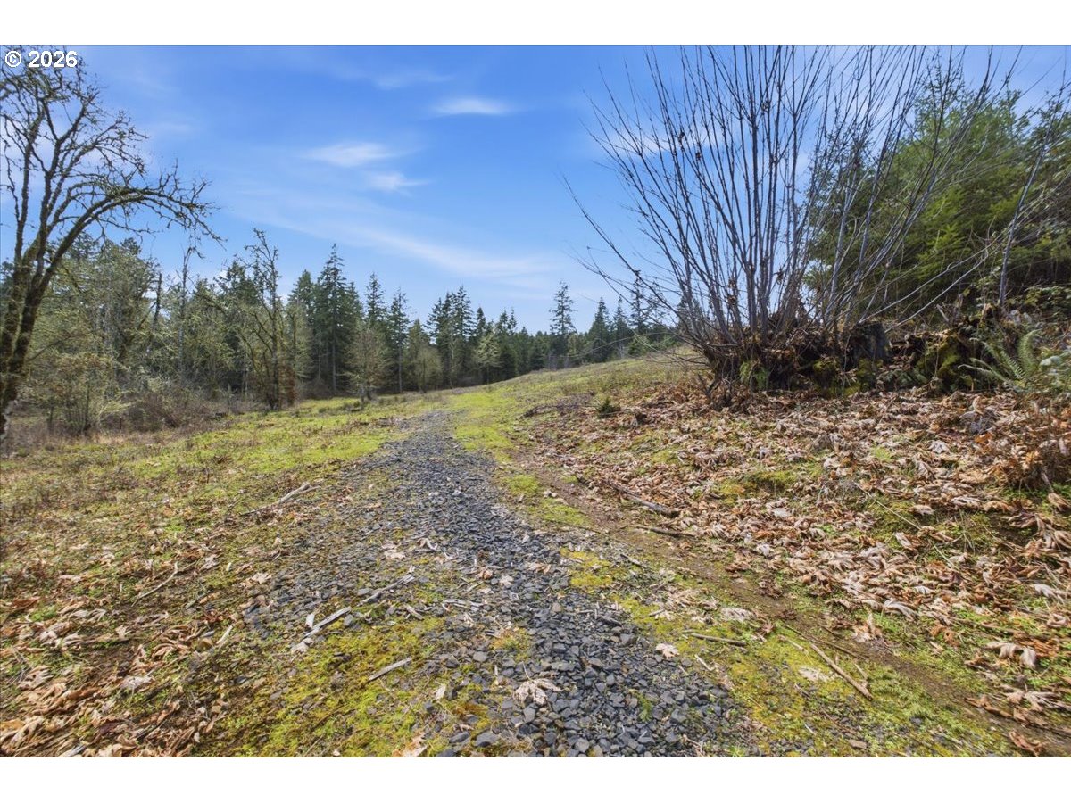 30271 Horseshoe Loop Lebanon, OR 97355 - Photo 39 of 40 Gallery Image 39