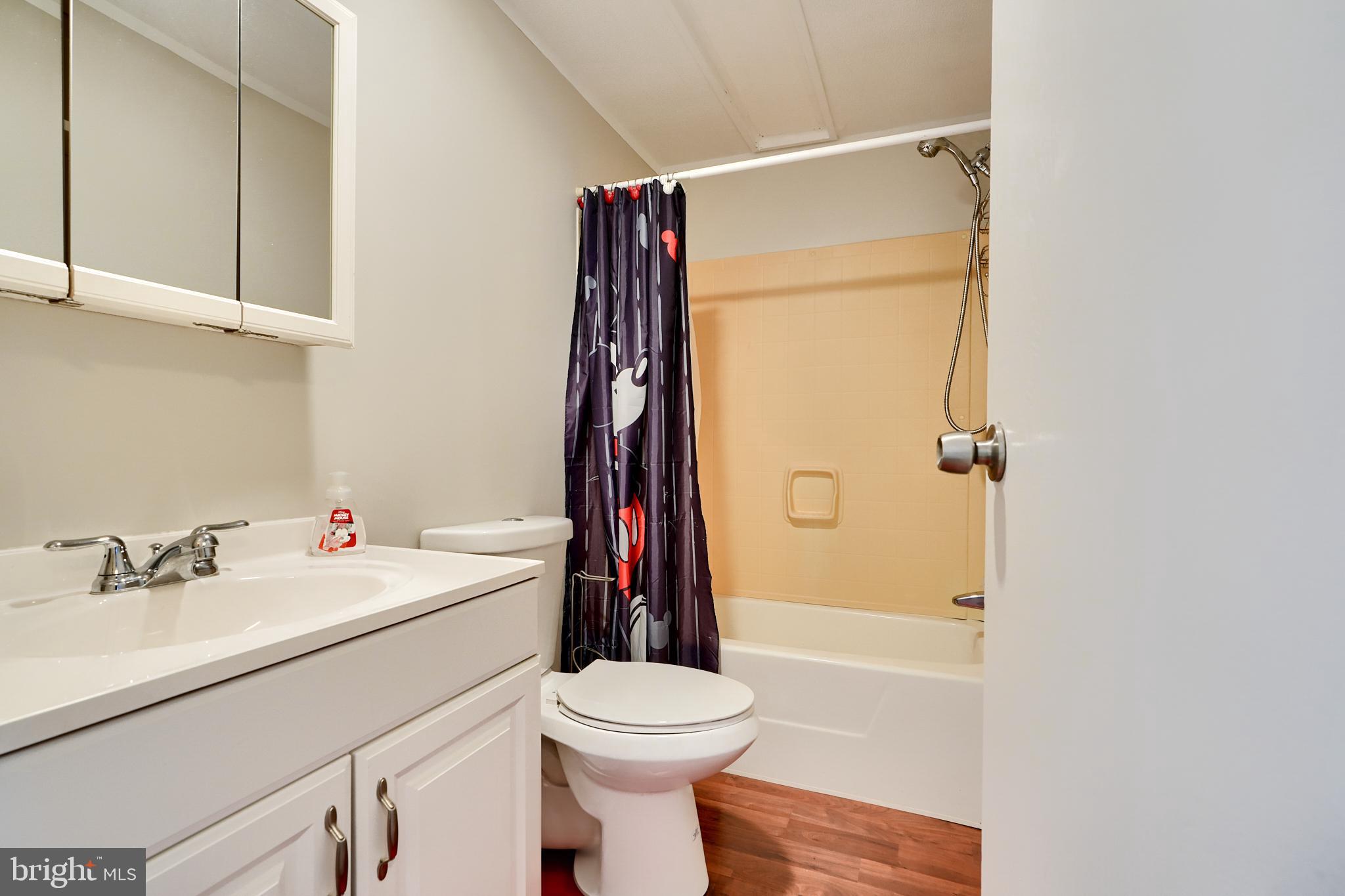 127 Cowhide Circle Baltimore, MD 21220 - Photo 20 of 27 a bathroom with a sink toilet and shower