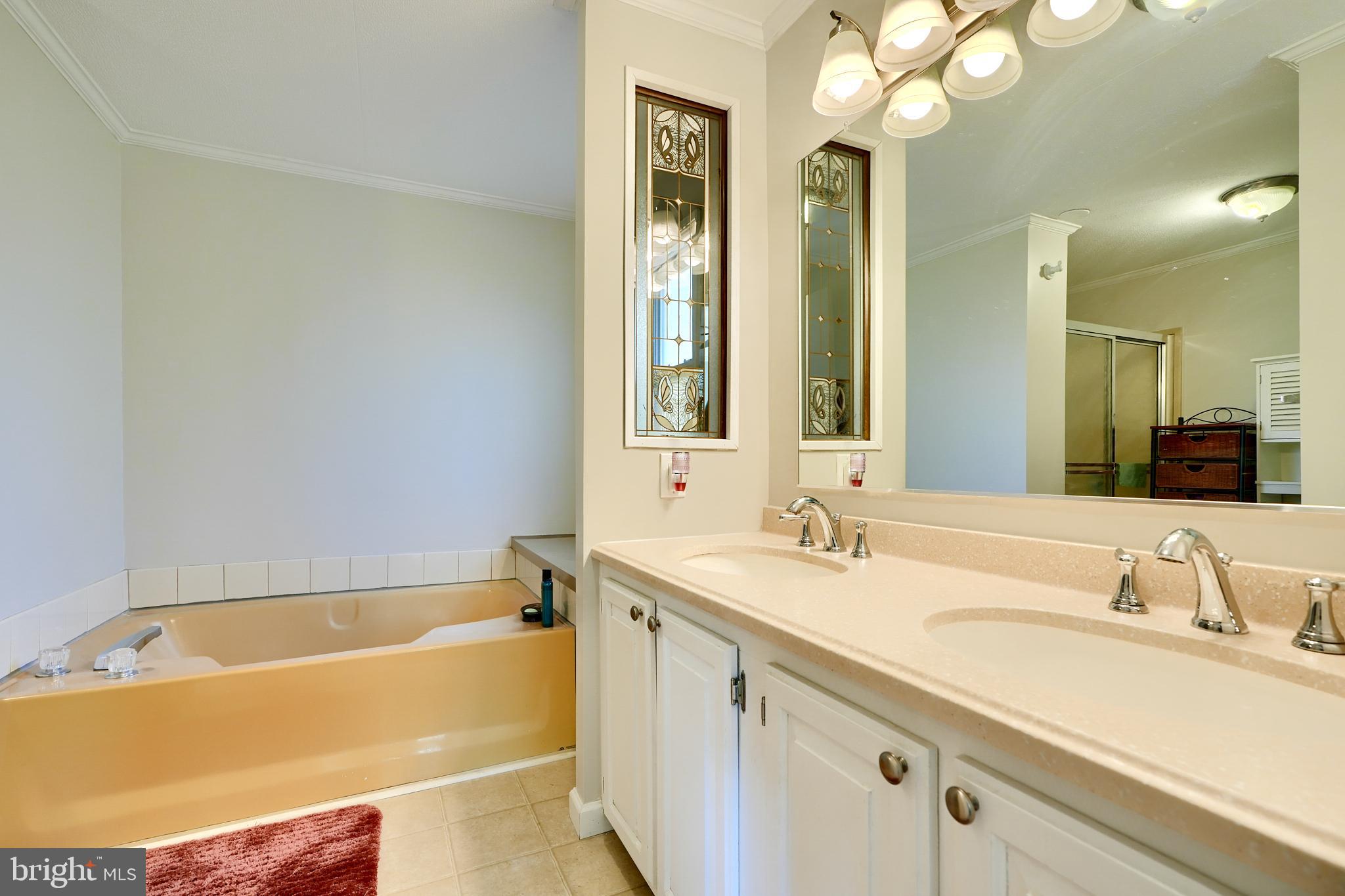 127 Cowhide Circle Baltimore, MD 21220 - Photo 24 of 27 a bathroom with a tub double sink and a mirror